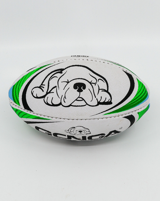 Gonga Miniball '8 Green/Blue